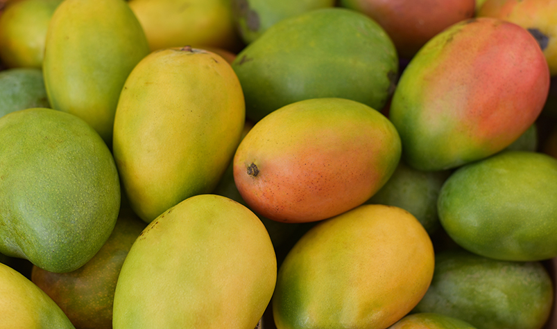 Tendencias olfativas de verano. Lots,Of,Mangoes,In,The,Market